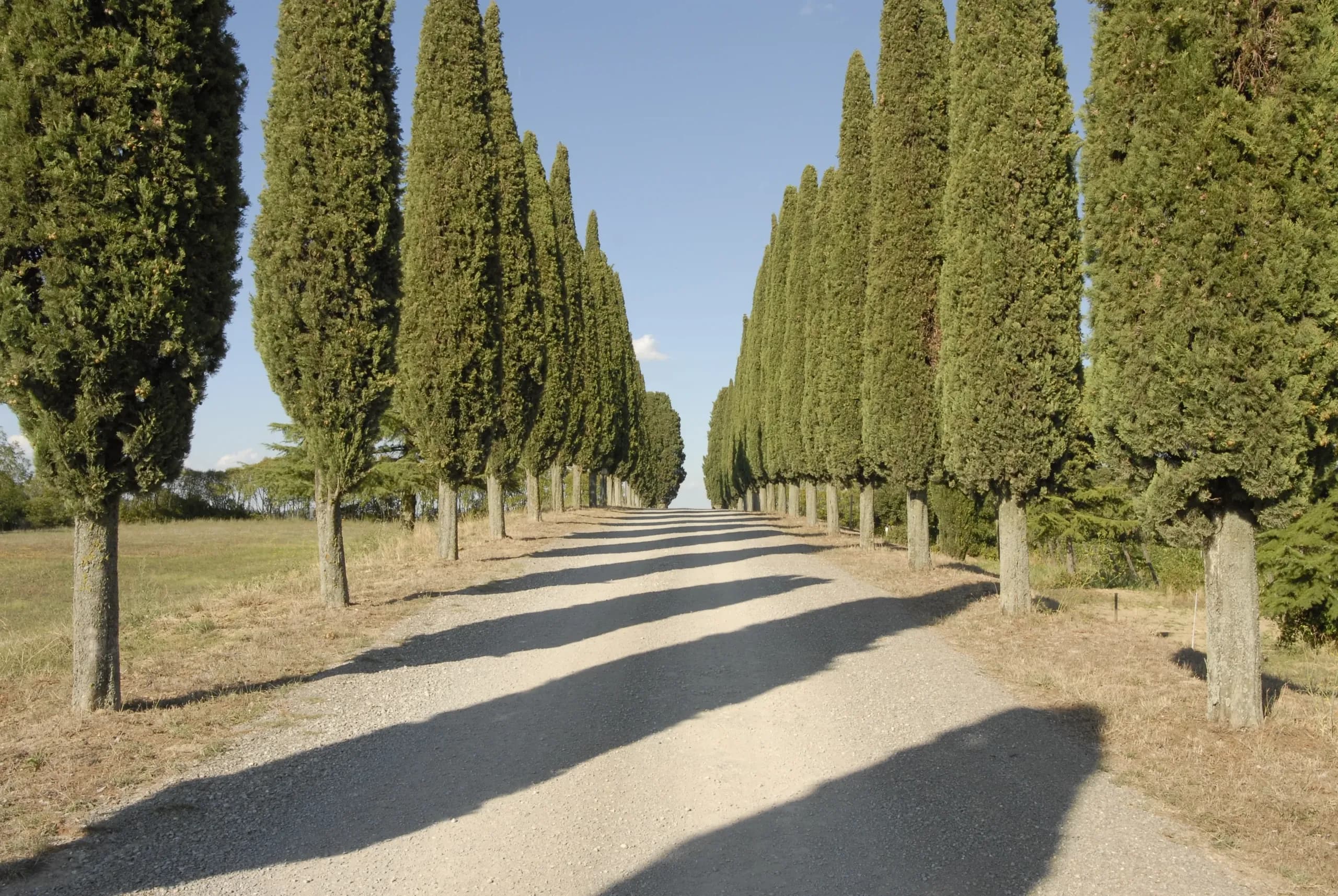 Tenuta