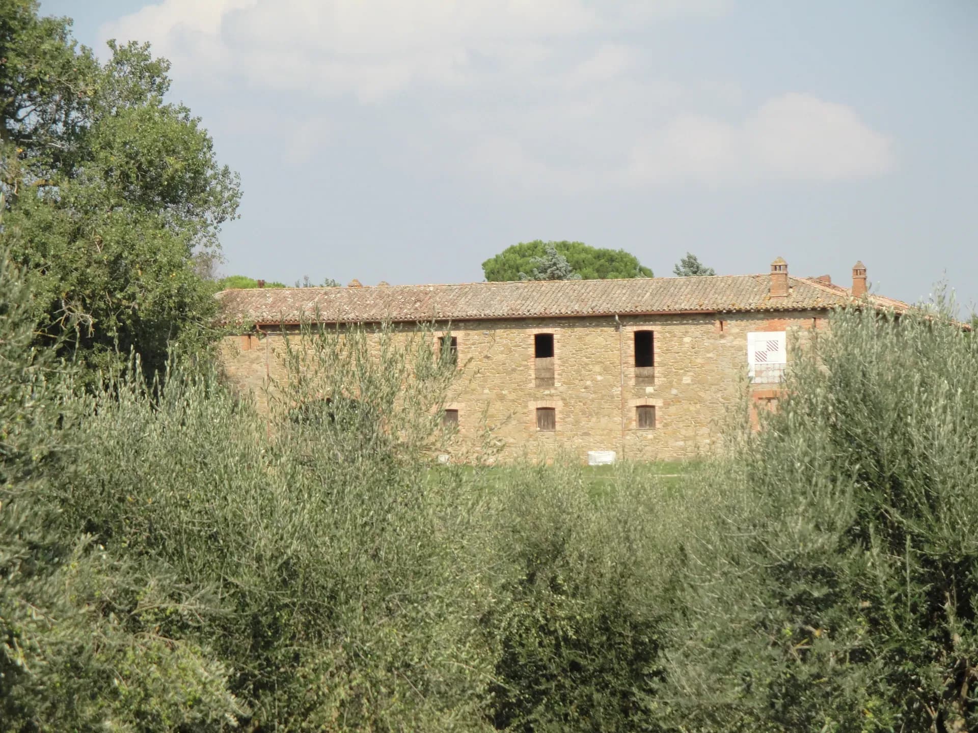 Olio — vista 7