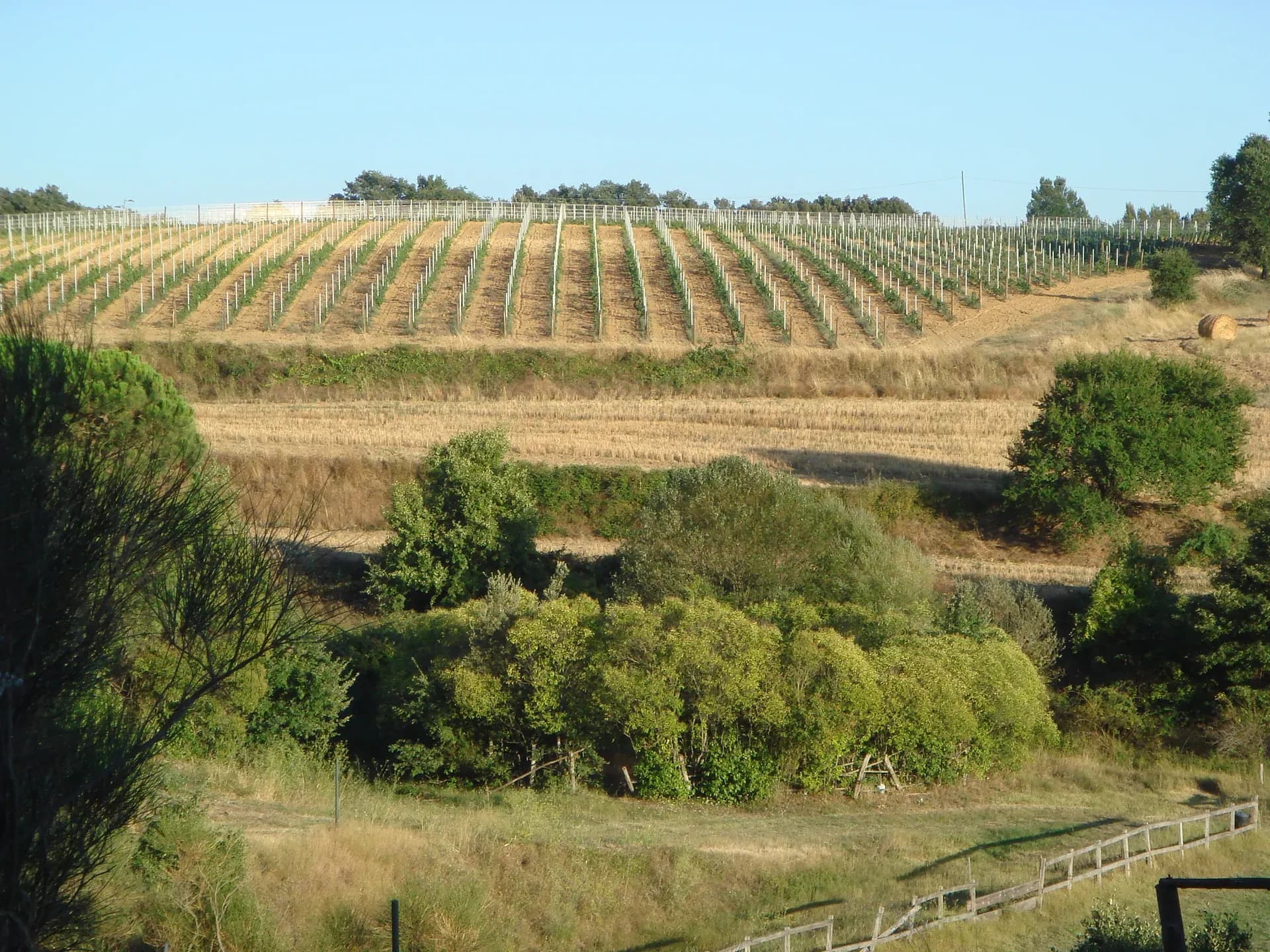 Tenuta — vista 4