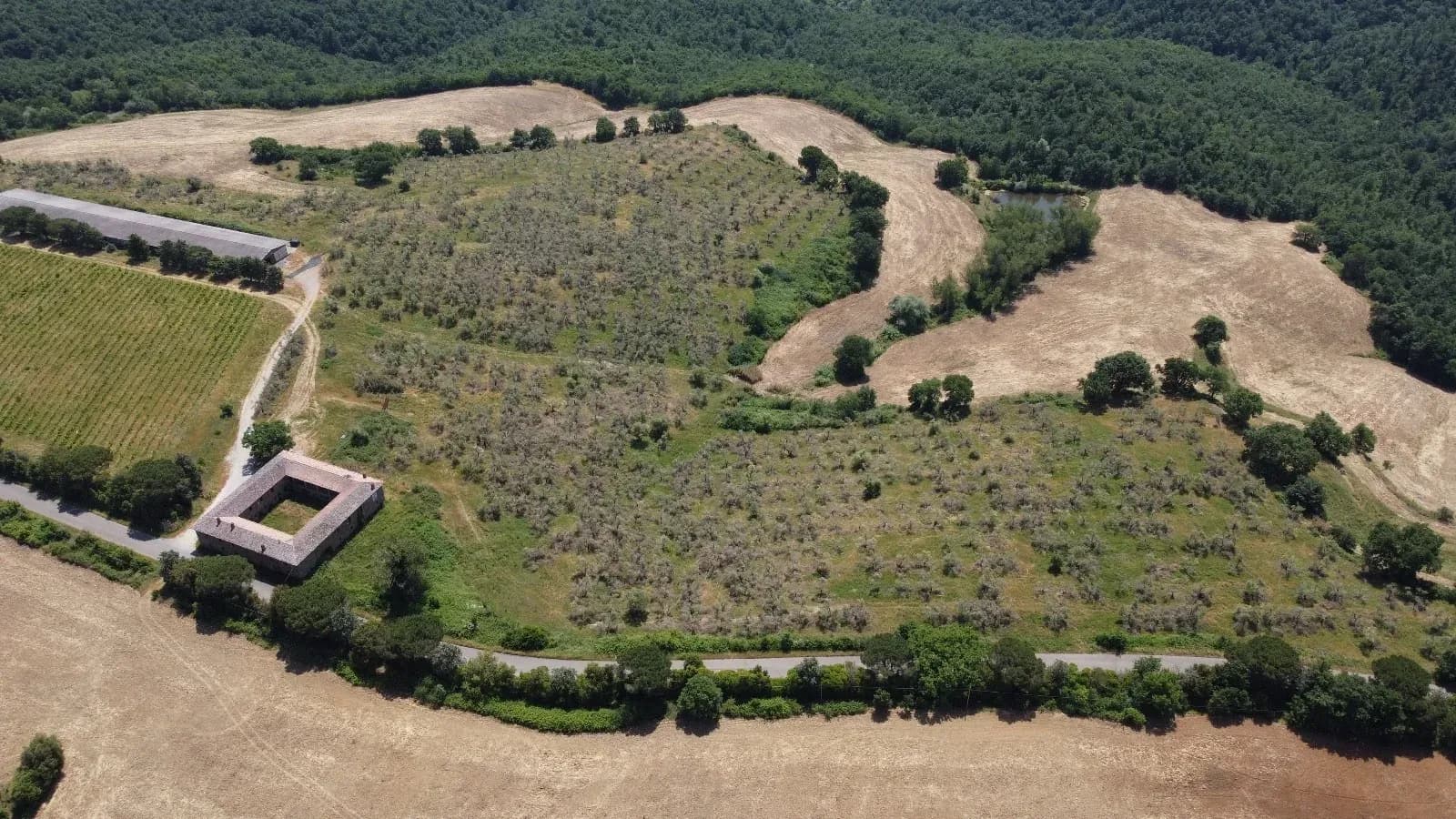 Tenuta — vista 2