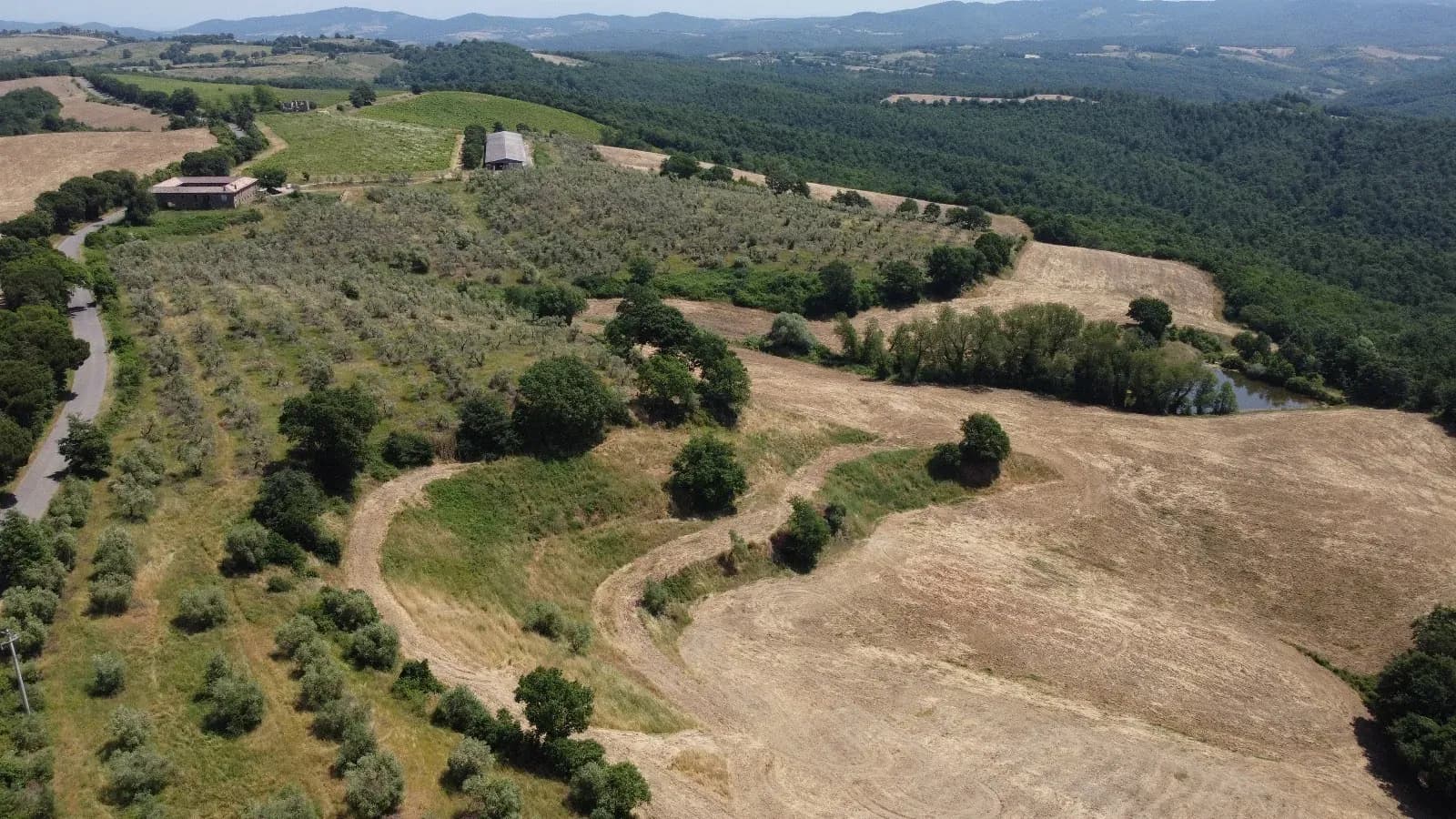 Tenuta — vista 3
