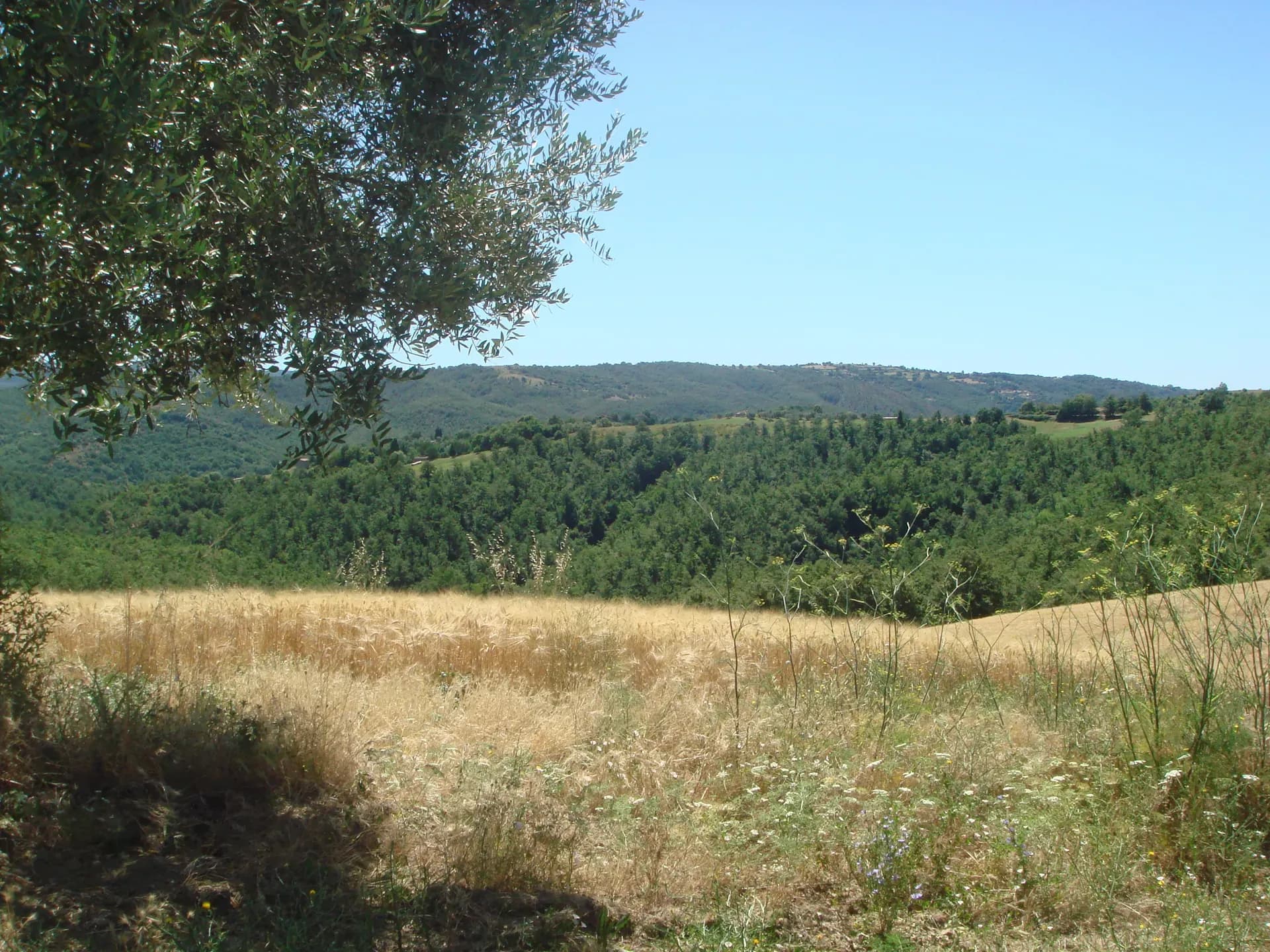 Tenuta — vista 12