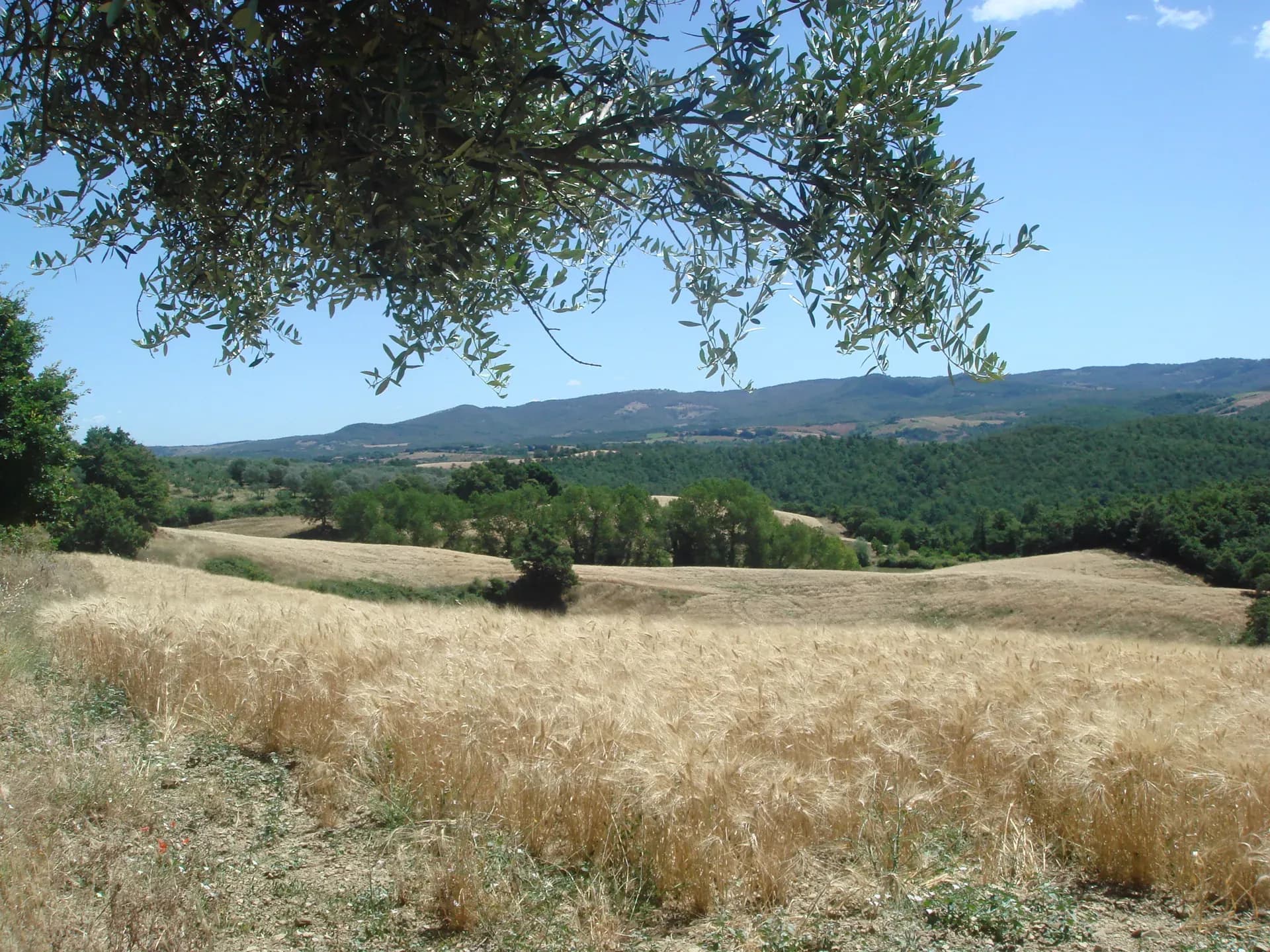 Tenuta — vista 14