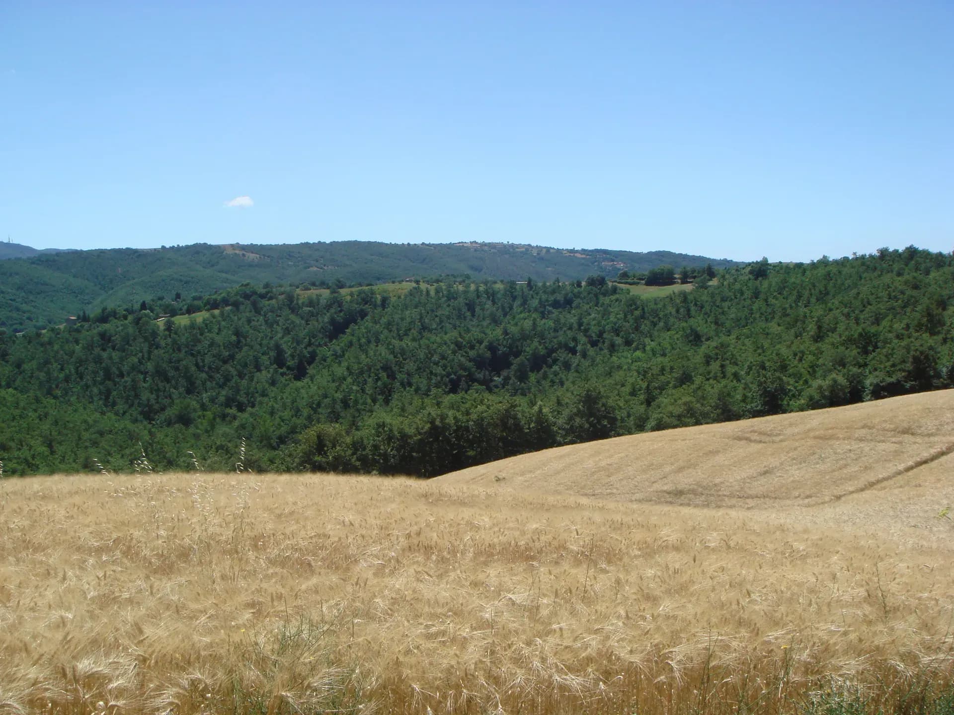 Tenuta — vista 15