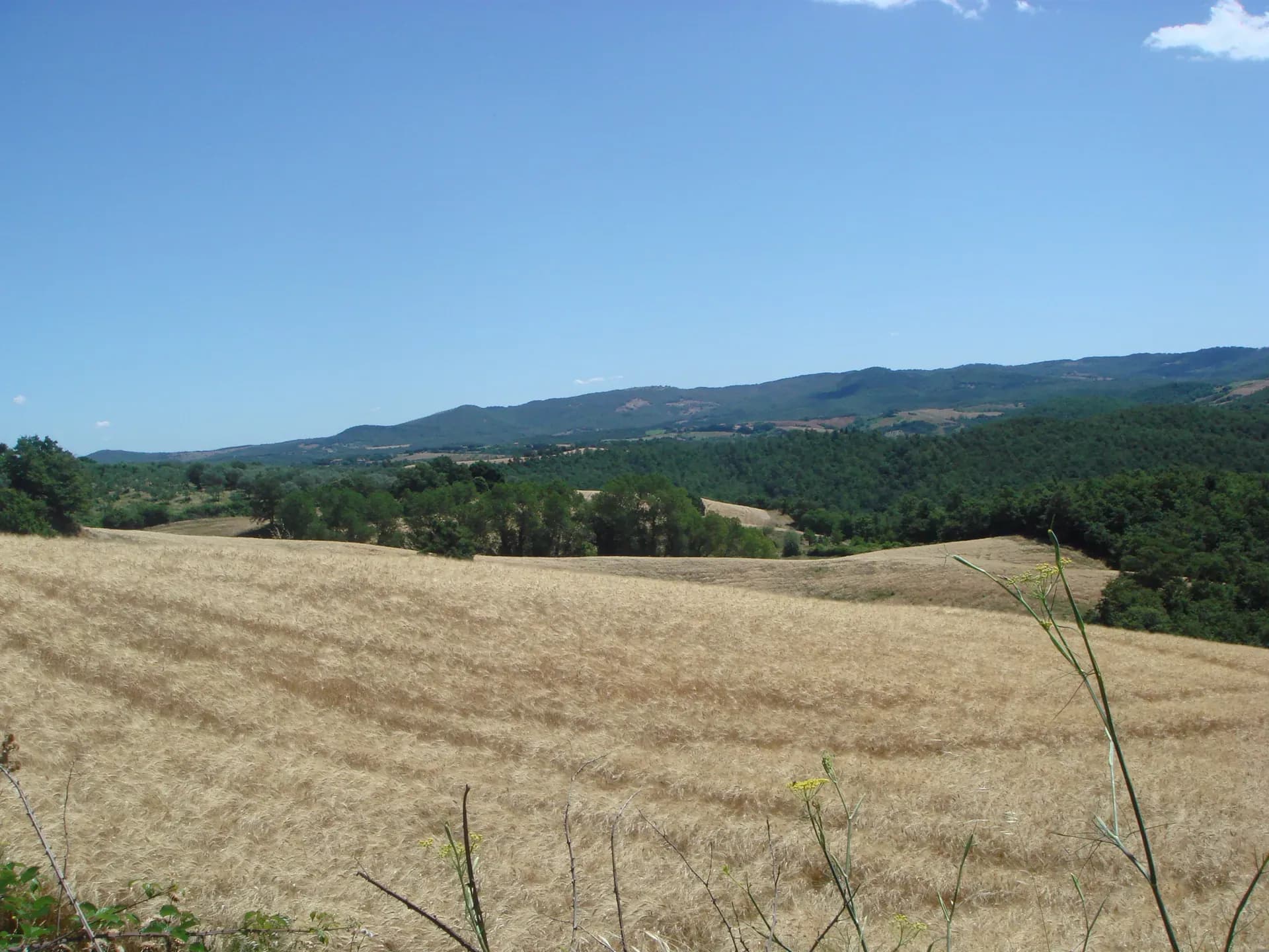 Tenuta — vista 18