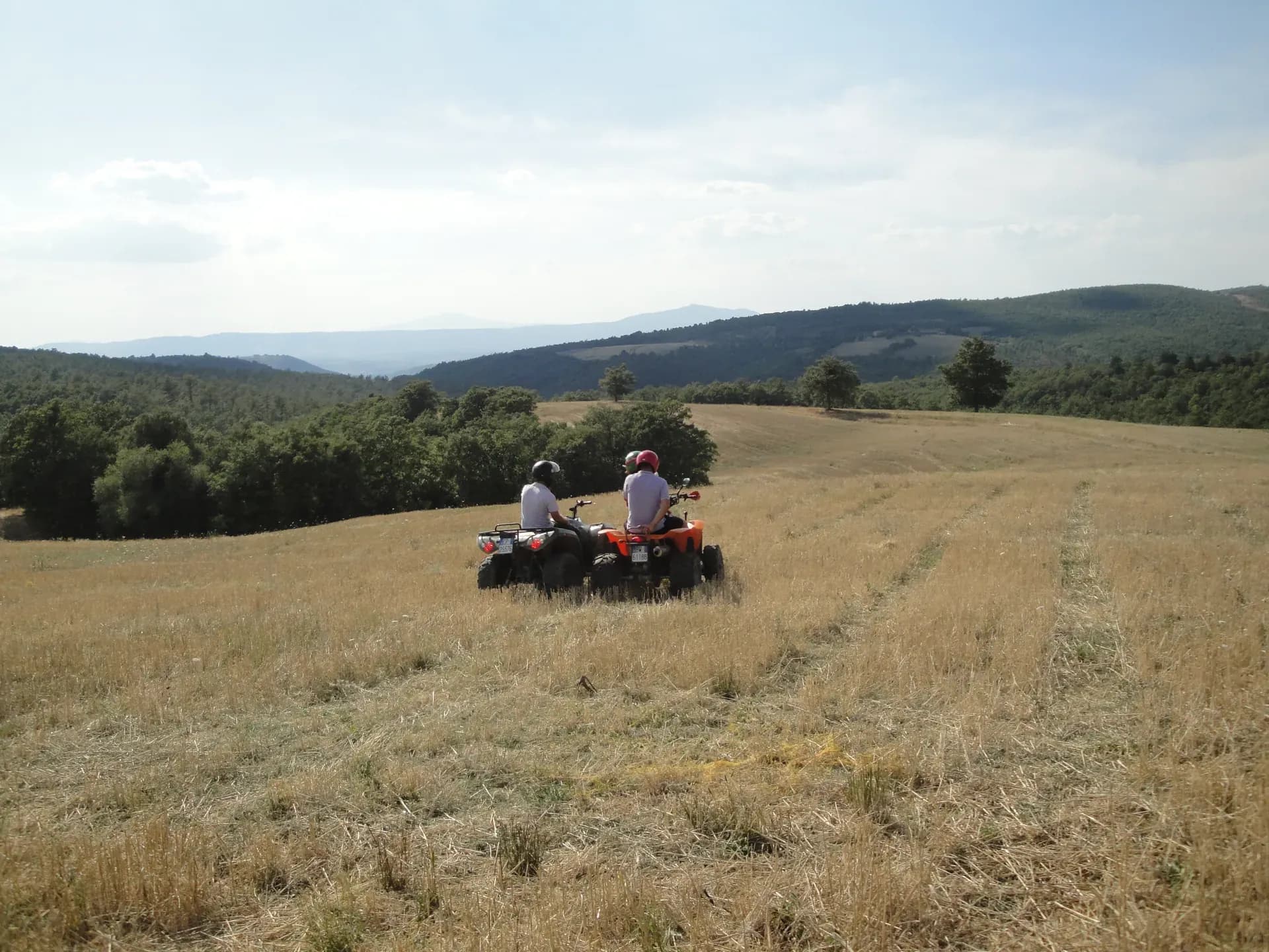 Tenuta — vista 19