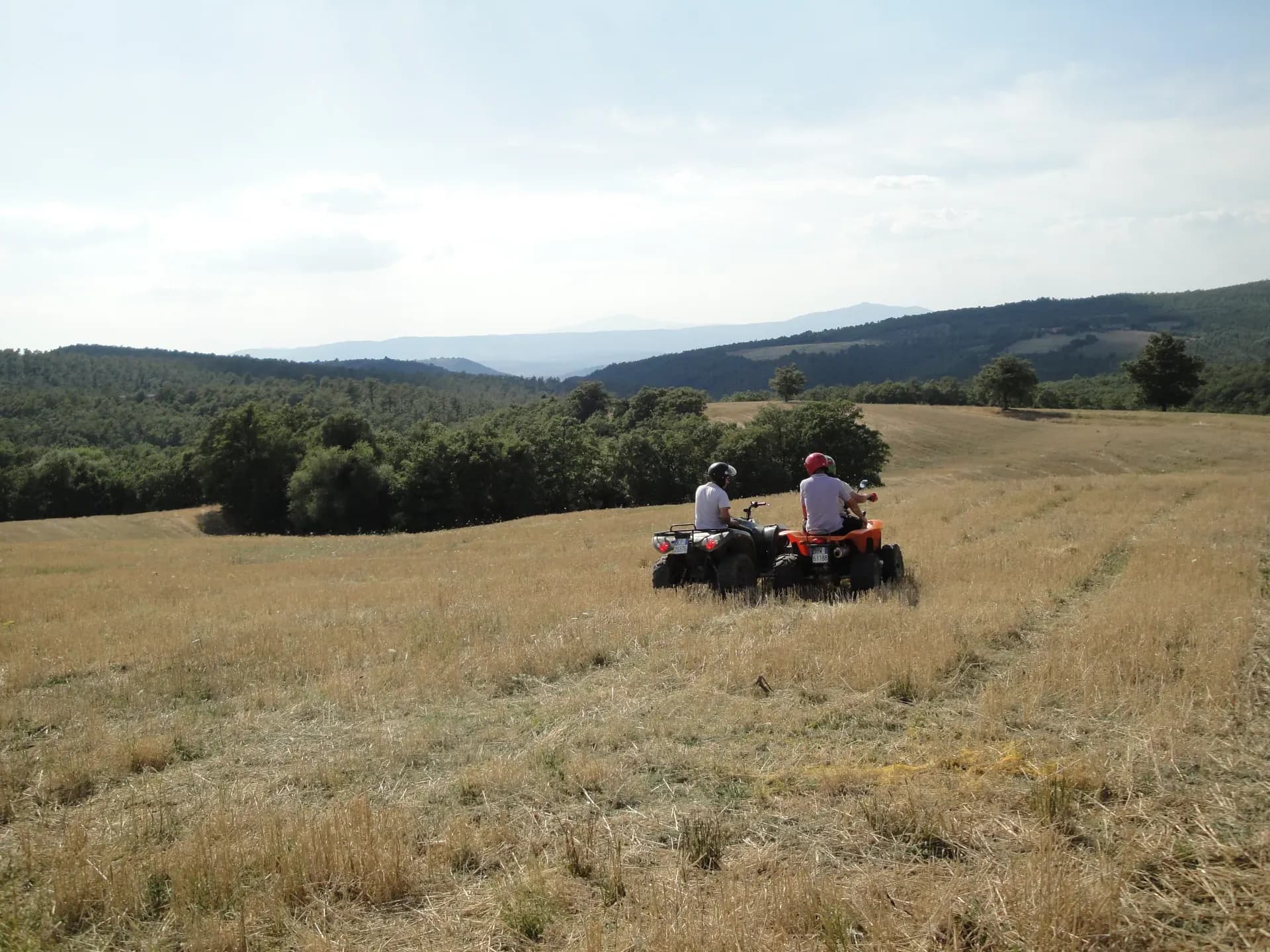 Tenuta — vista 20