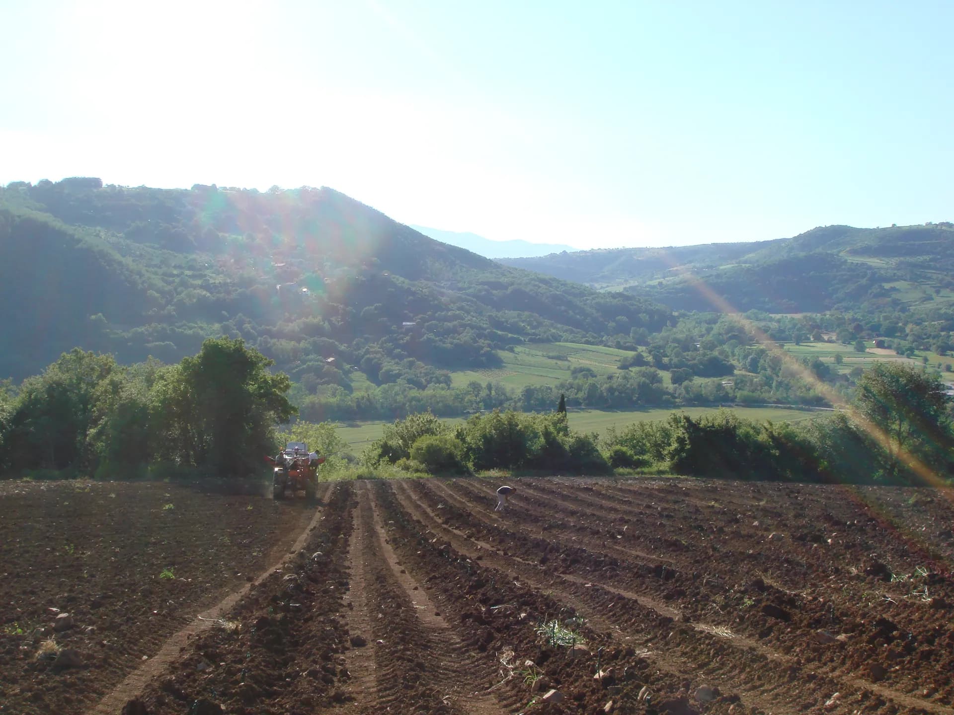Tenuta — vista 21