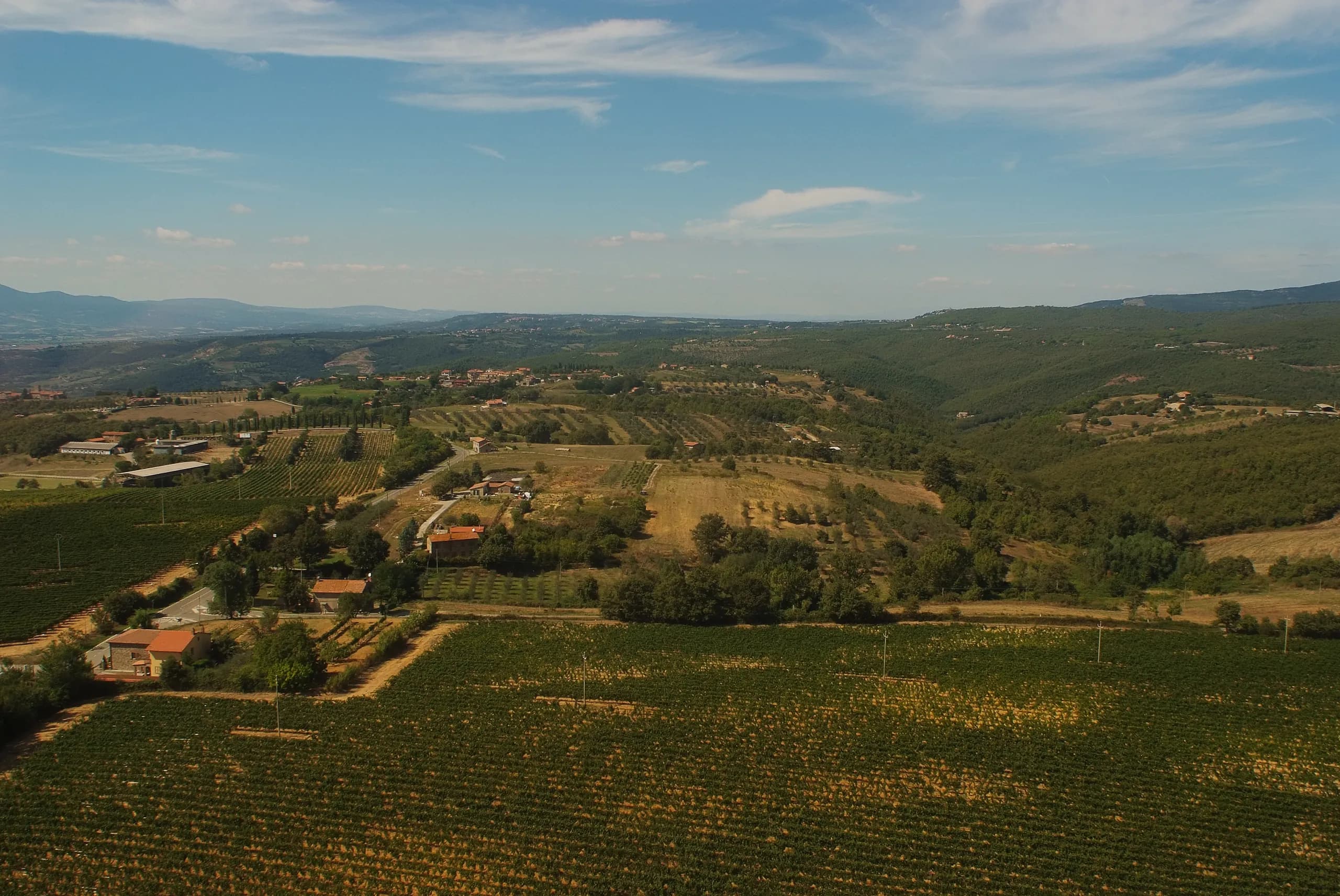 Tenuta — vista 23