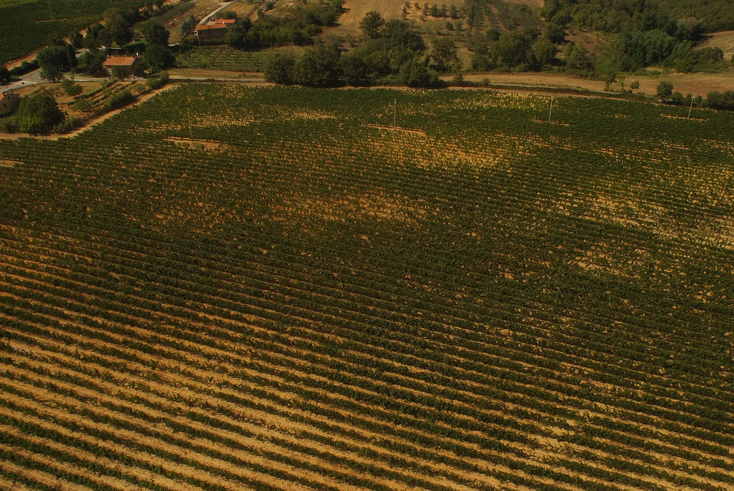 Tenuta — vista 24
