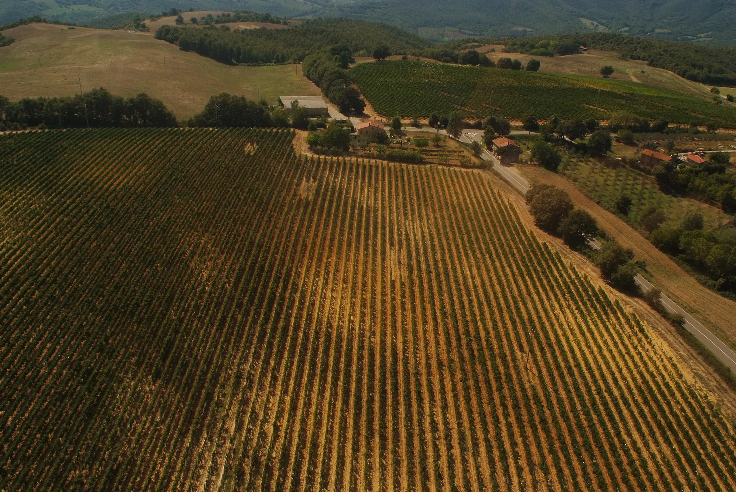 Tenuta — vista 25