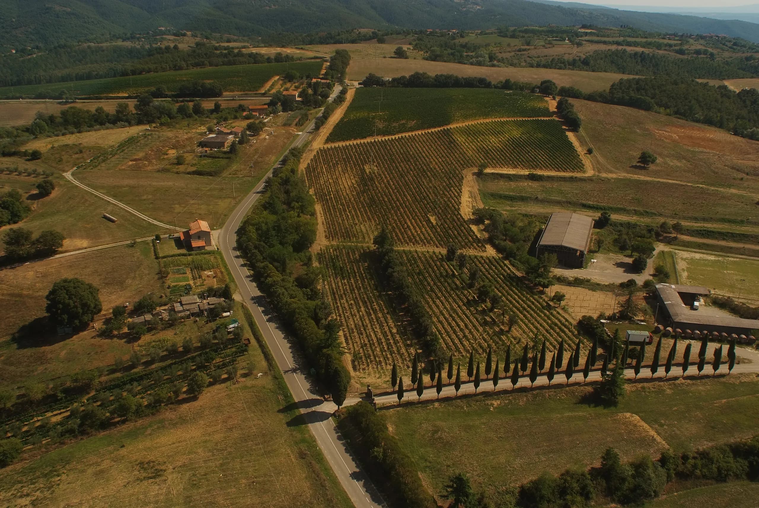 Tenuta — vista 29