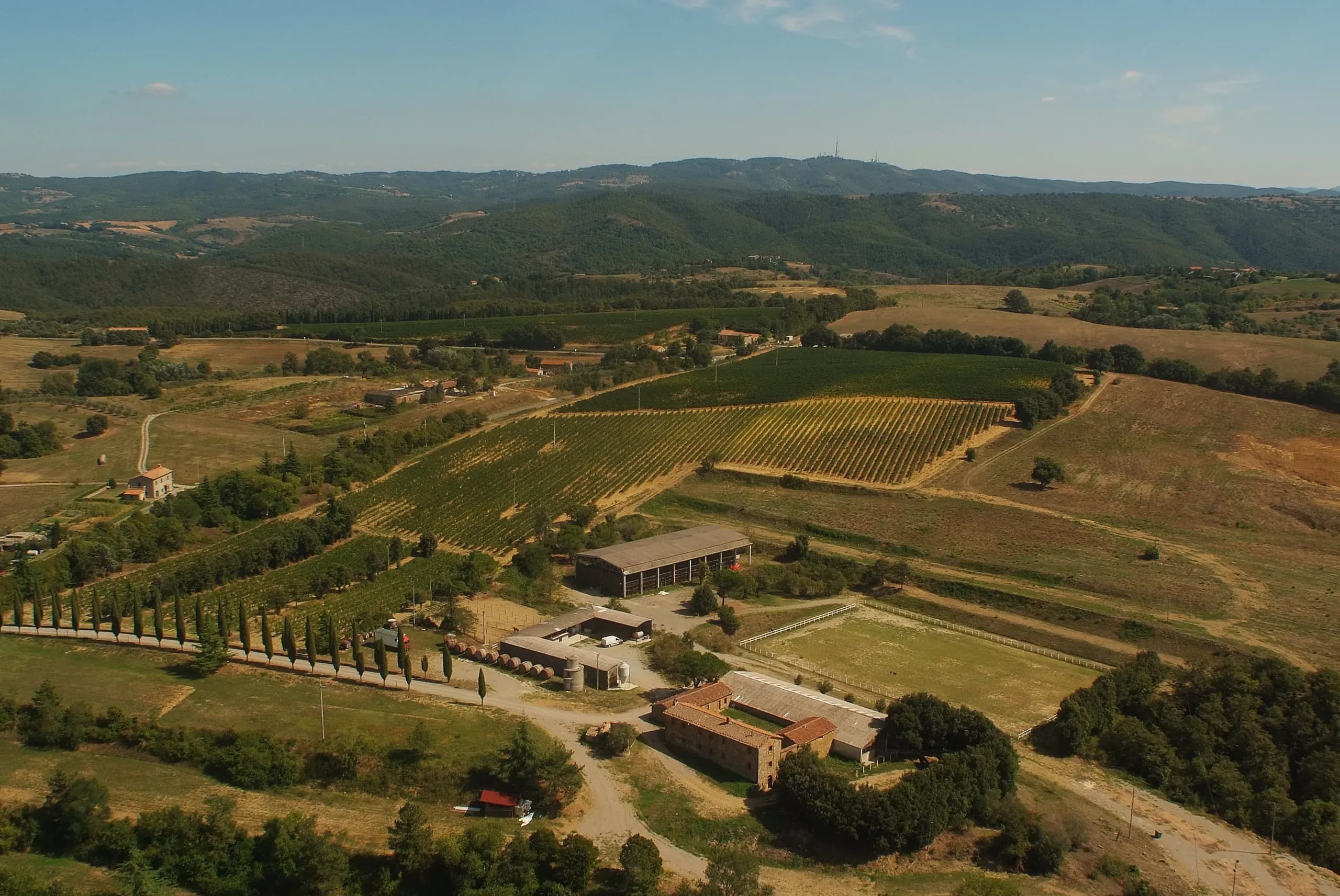 Tenuta — vista 30