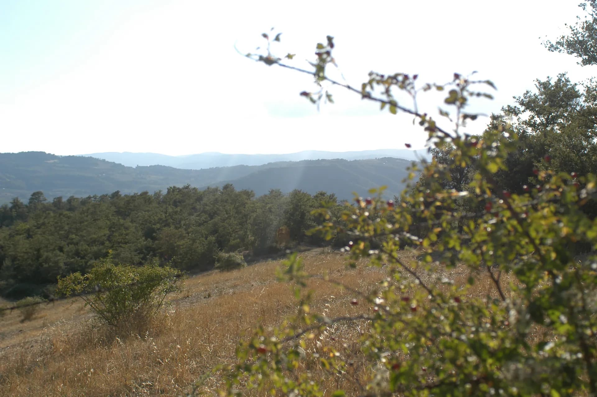 Tenuta — vista 8