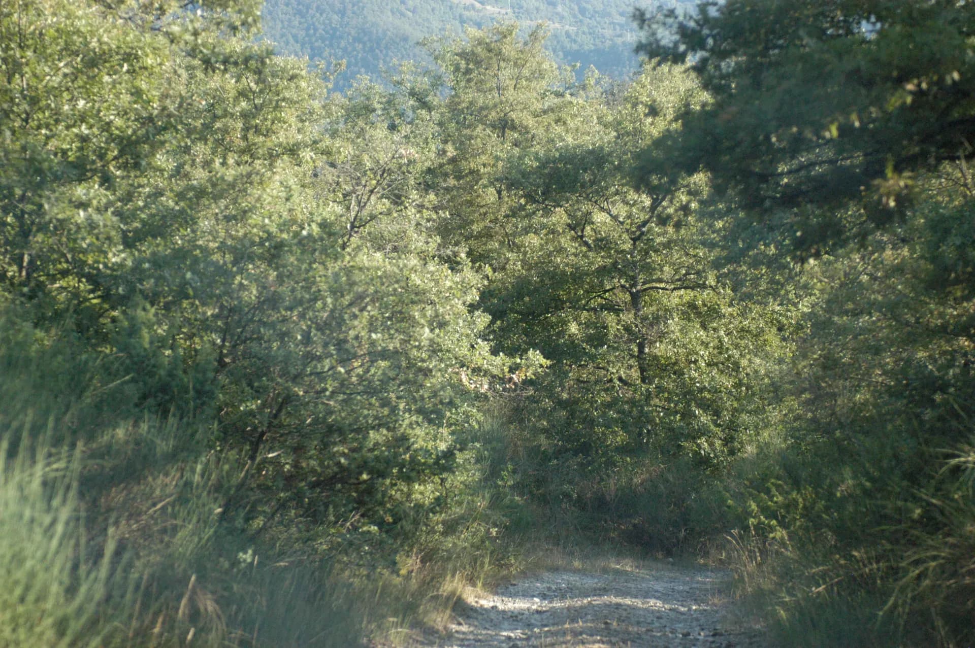 Tenuta — vista 9