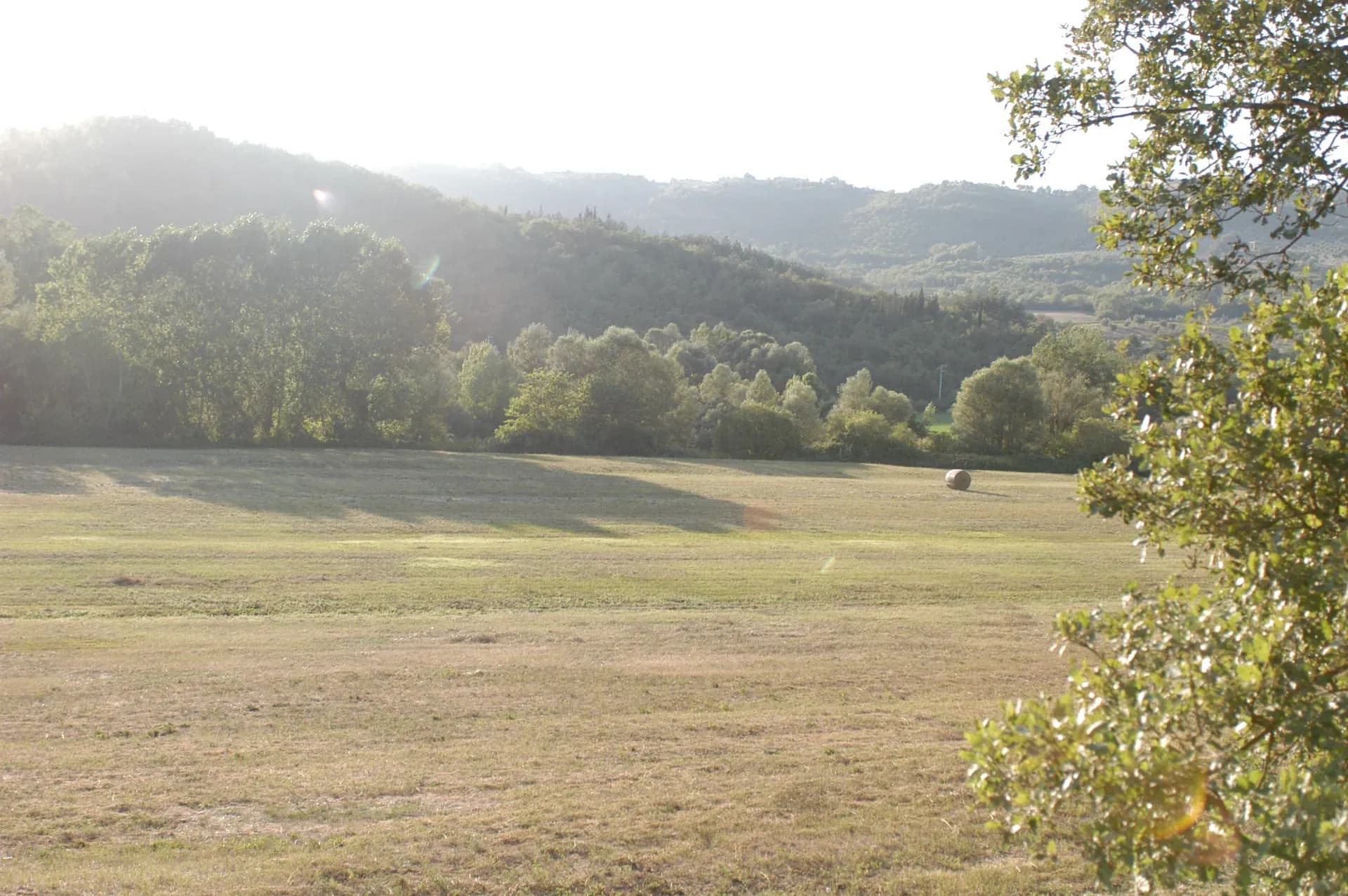 Tenuta — vista 10