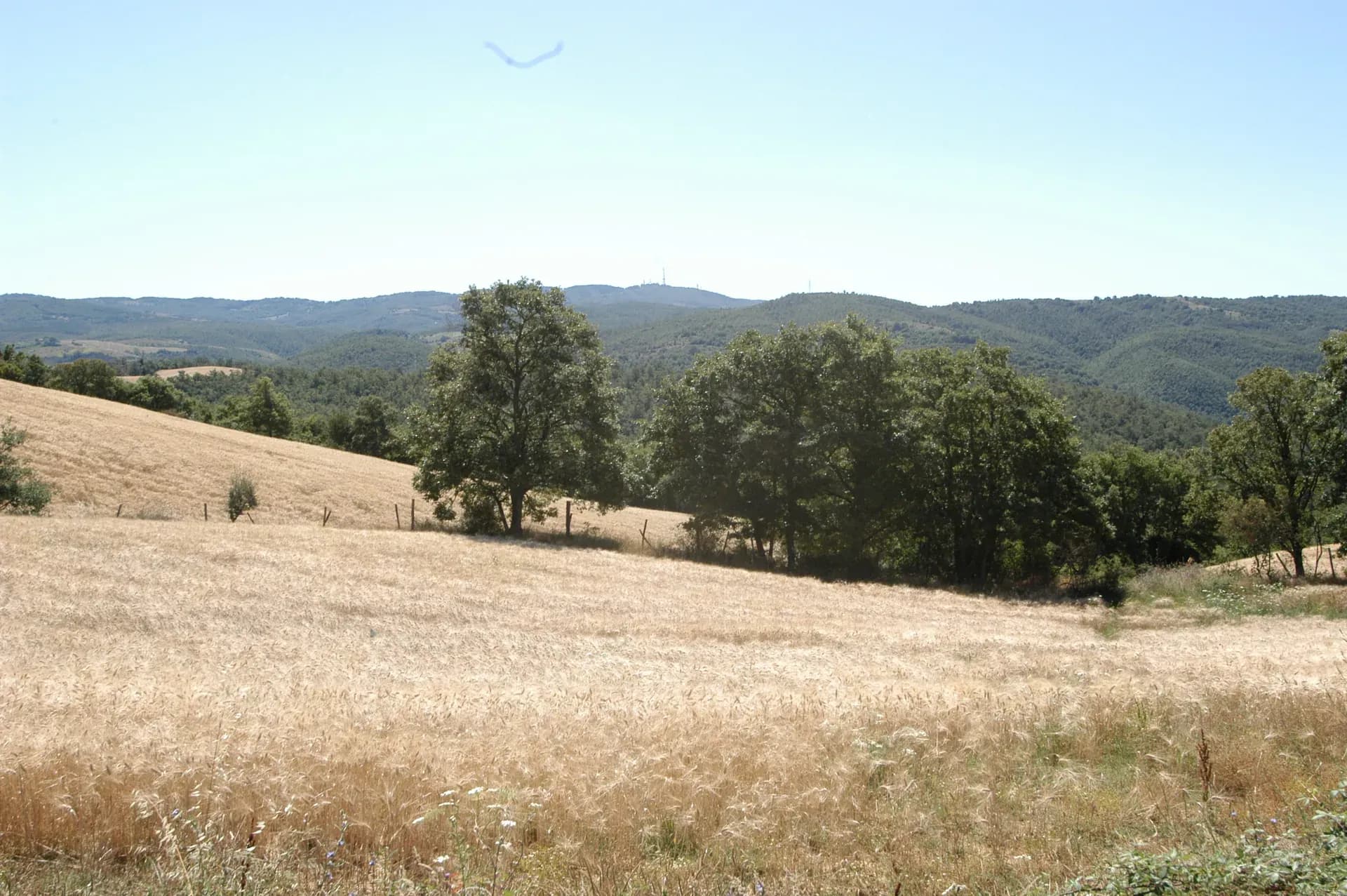 Tenuta — vista 11
