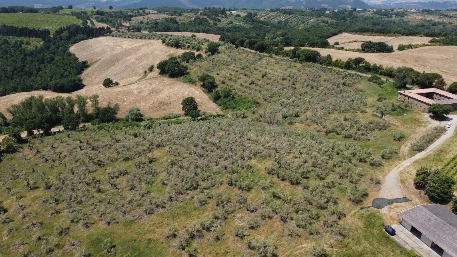 Tenuta — vista 7