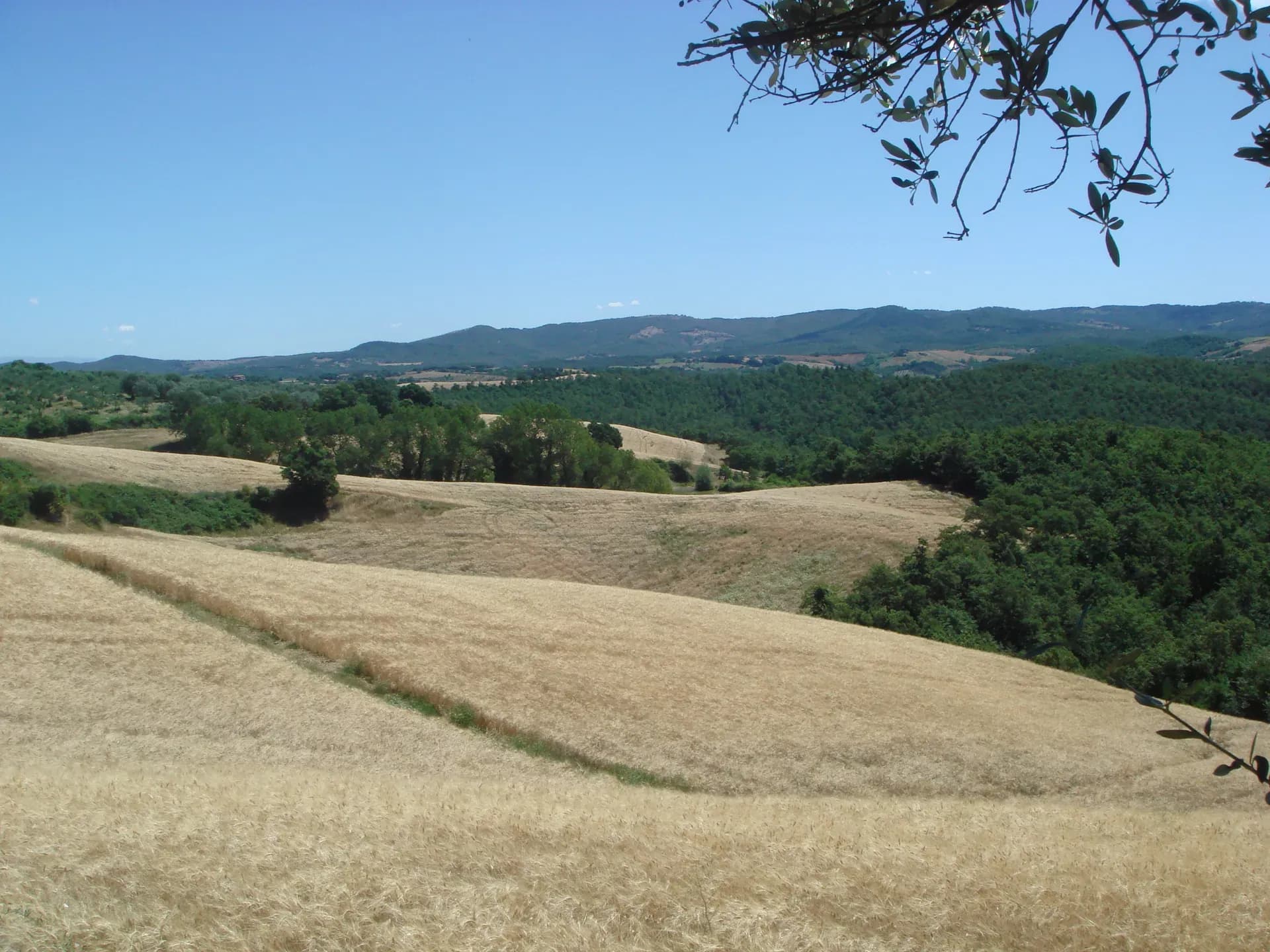 Tenuta — vista 37