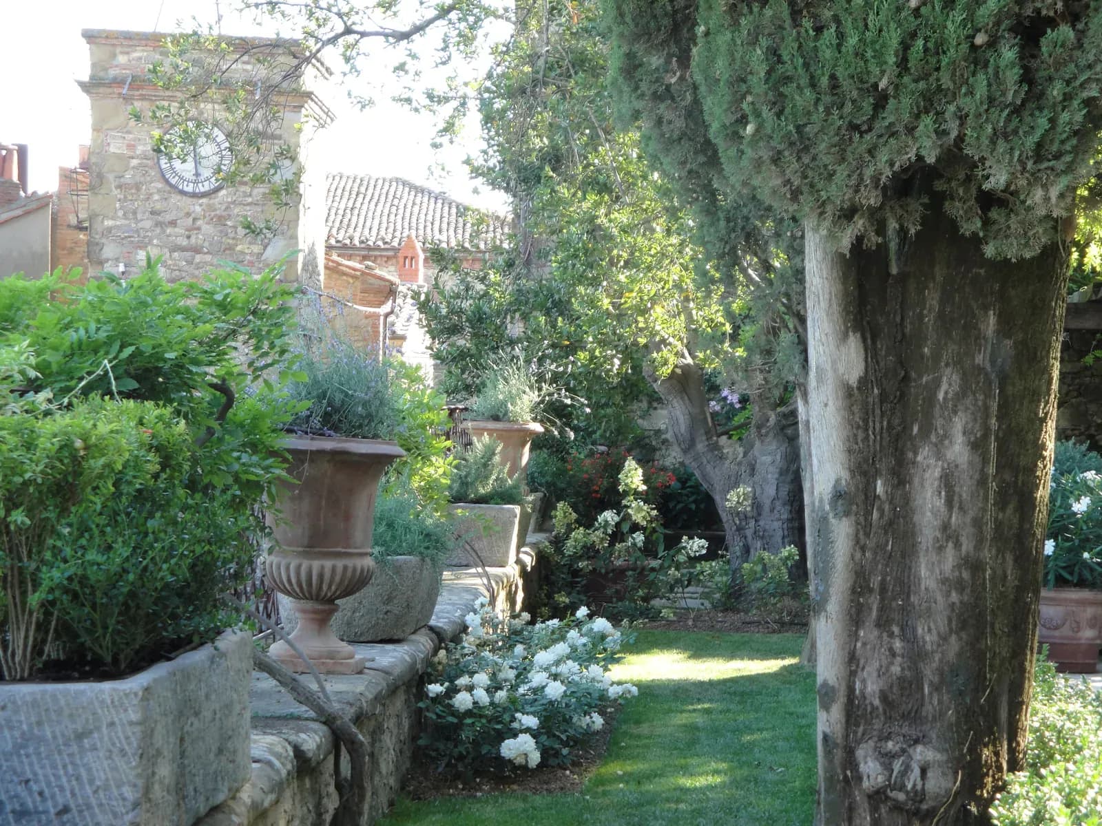 Terrazze — vista 12