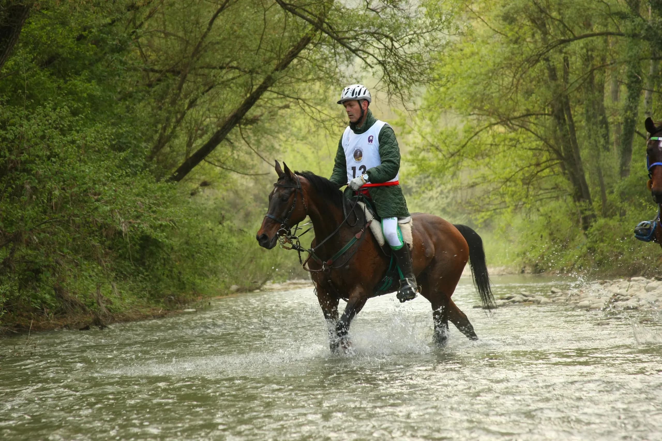Horses racing through the estate